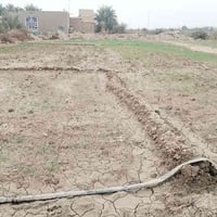 أكثر من ٢ دونم • عقد زراعي سند ٣٥ • دوانيه حمزه الشرقي