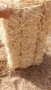 كبسات تبن • طول ٨٠-٩٠ • توصيل ميسان