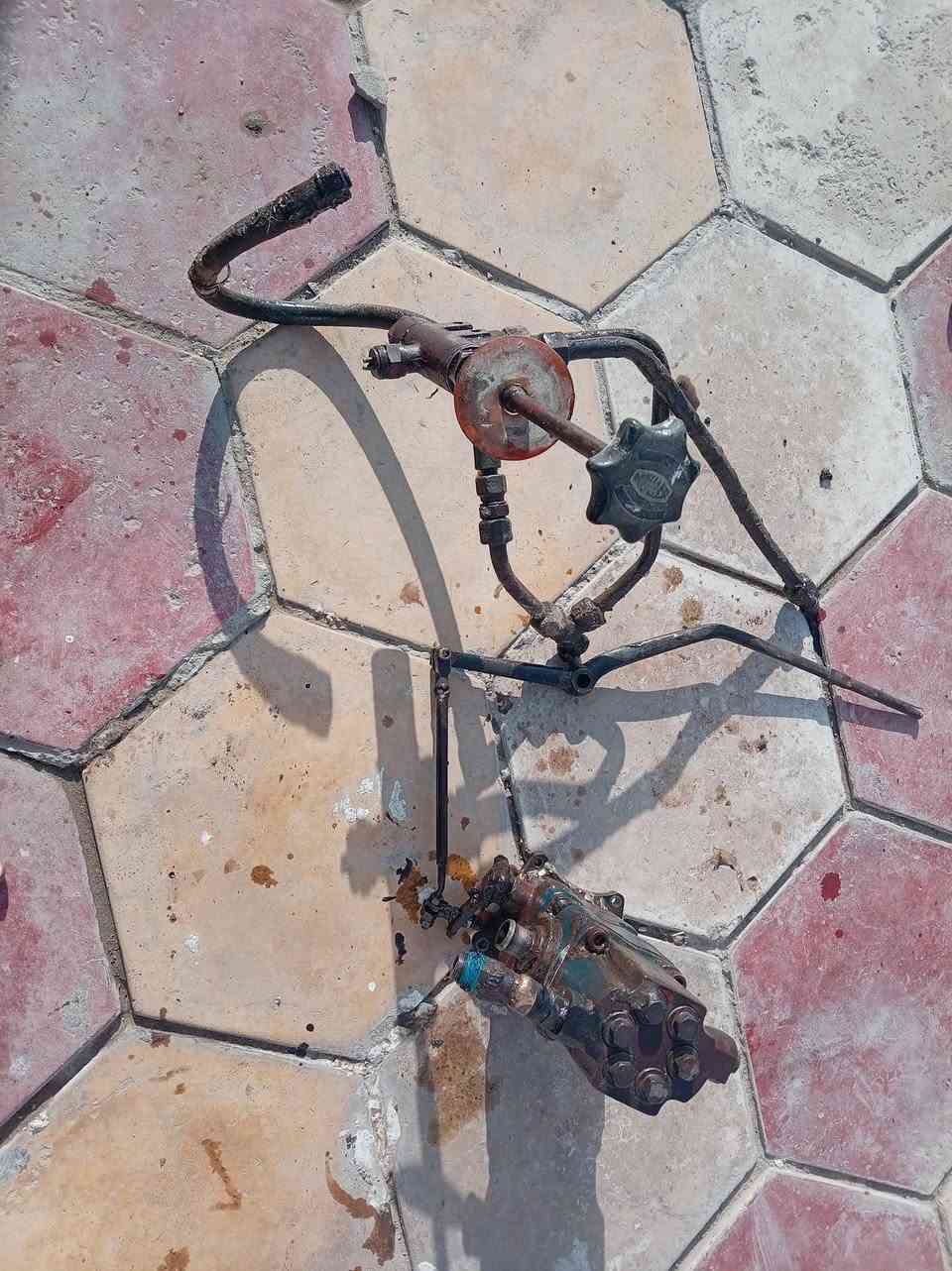 خنزيره  للبيع  هي والكاك  مثلث  ***********
