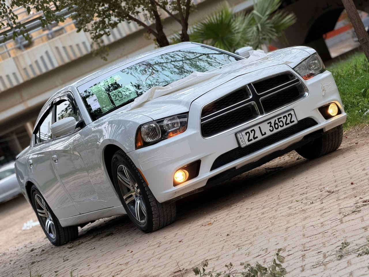 السلام عليكم
جارجر SXT
 للبيع او مروسه حسب القناعه 
لون ابيض
موديل 2013
رقم اربيل
شرط التحويل او الوكاله
كلين تايتل
كفاله عامه
... مواصفات
. تشغيل عن بعد
. شاشه صغيره
. كير عصا
. بصمه
. سياره ماشيه135
.كشن كهربائي
. داخل اصفر 
. ويل18 خليجي
.تخم تايرات جدد 
. حداديه اماميه خلفيه جديده💯💯
. مكينه3600
. كشاف أمامي
.  اداما(يعنى دهن الكير وفيت بم و دسكات جدد) 
. مكان السياره كركوك 
....
ملاحظه
السونار مرفق بالصور
سياره جديده وع وضع الشركه
مكفوله من التبديل والشخوط
سياره نظيفه كلش استخدام شخصي مداخله استعراضات ولا مشتغله بخط سياره جاهزه بدون اي نقص
للاستفسار الاتصال ع الرقم 📞
***********
