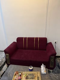 تخم تركي بحالة جيدة 💎          القنفة الوسط والكبيرة سليمات الصغار عدد...