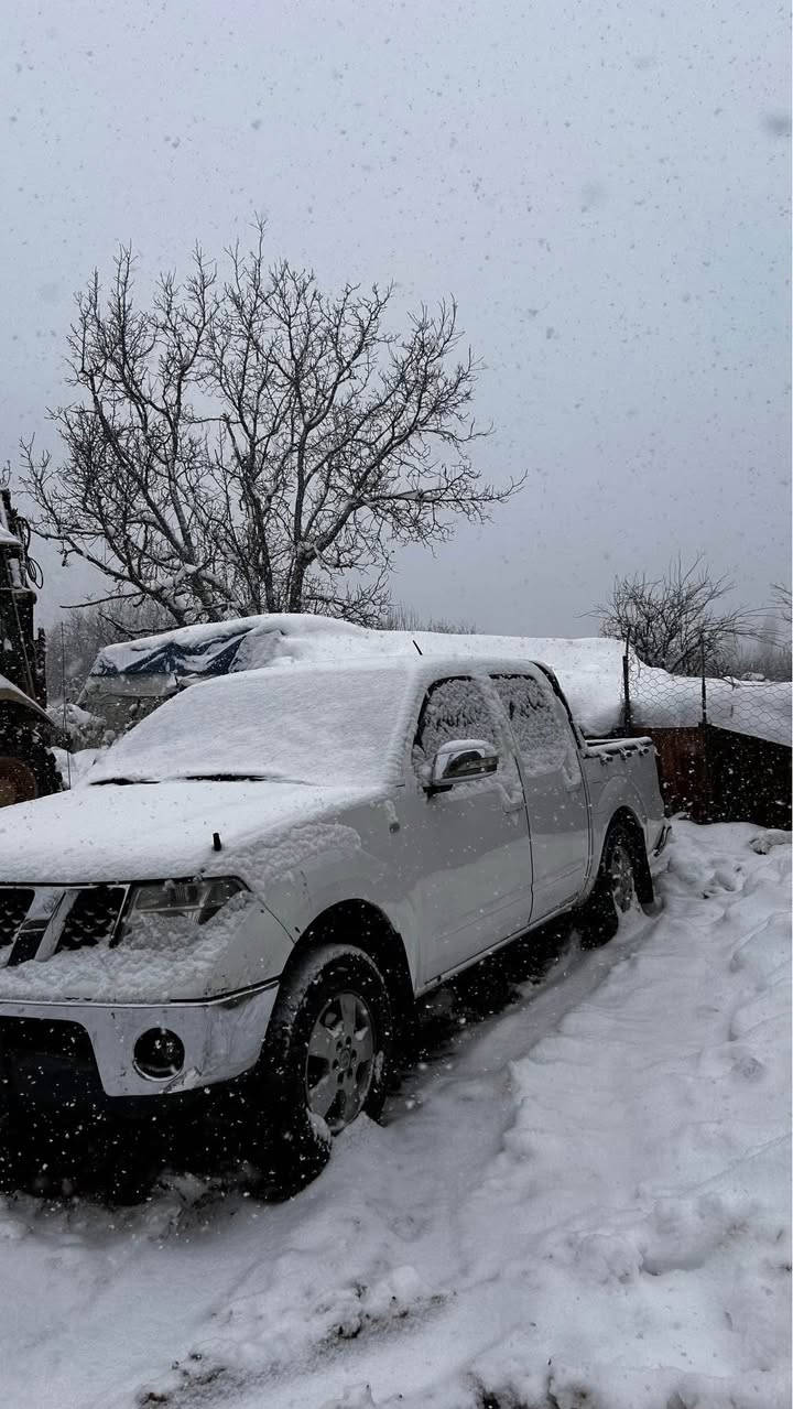 نيسان ناڤارا ٢٠٠٨ منافيست غرامه ب شرط دوو قتعه به خ گيرو مكينه ب شرط تقه رقه ب شرط سياره بئ مصرفئ ده ين دزين مدني حكومي هـه مي ب شرط تايره جديد دينارك مصرف نينه ل سه ر سعرا وئ ٧٢$ ورقه مجالك دئ تئدا هه بيت سياره يال زاخو رقم *********** دهوك, العراق
