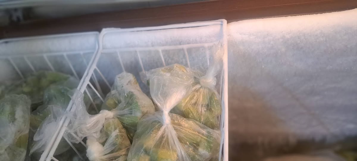 اغراض للبيع شرط النظافة


**إذا كنت صاحب هذا الإعلان وتريد حذفه لأي سبب، رجاءا أرسل رسالة إلى الدعم الفني**