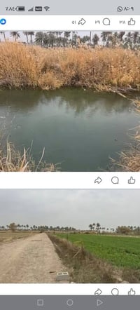 ٥٠ دونم • طابو زراعي • واجه شارع ٣٠م