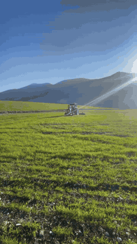 مردانه للبيع
رقم هاتف ***********
***********
