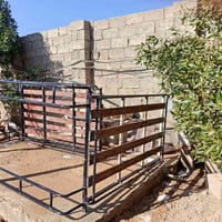 سيباية تفصال مال حمل العدد 2 سعر الوحده 100 وثنينهن 200وبيهن مجال حك ا...