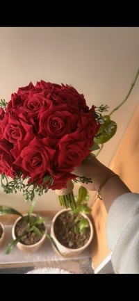 للبيع • سليماني