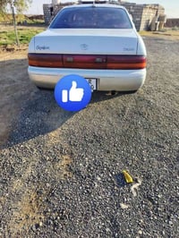 كراون • انكليزي • ٣٠٠٠ مكفولة