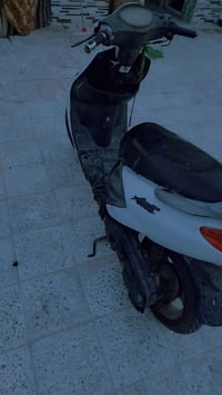 دولفيل • السعر خاص • رميثه