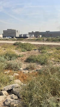 بصرة أبي الخصيب • دونم و٢٠٠م • طابو ملك صرف