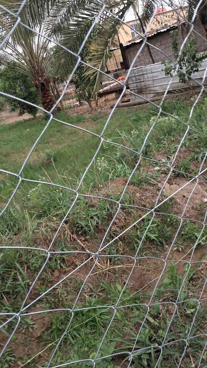 ***********
يتوفر واتساب 》***********
مستعدون لعمل ونصب اسيجه  بيارسي بكافة أنواعها وشغل مضبوط و بأاسعار مناسبة وحسب المواصفات والمساحه نعمل في جميع محافظات العراق الحبيب 🇮🇶
