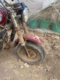 ستوته • مديل ٢٠١٩ • اوراق اصلية