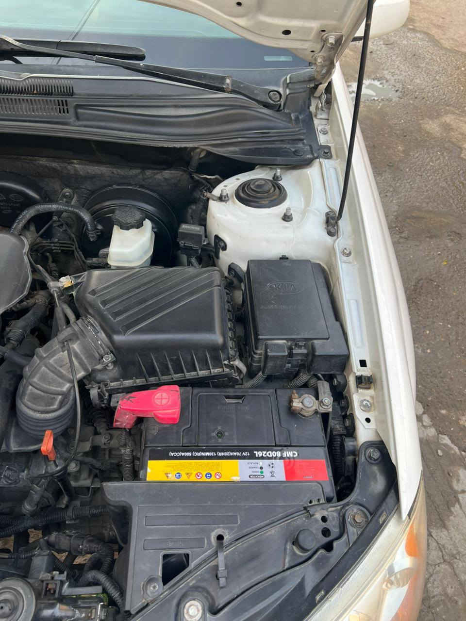 سلام عليكم كيا سيراتو مديل2009 كفال من صبغ وتبديل بيها باردات اثنين وتكحيل بدون معجون وصبغ مكينه 1600دكشن عالي وارد خليجي  سعرها100 وبيها مجال .  سنويه بسمي رقم كربلا عنوان بصرا حكيميه . رقم الهاتف *********** البصرة, العراق
