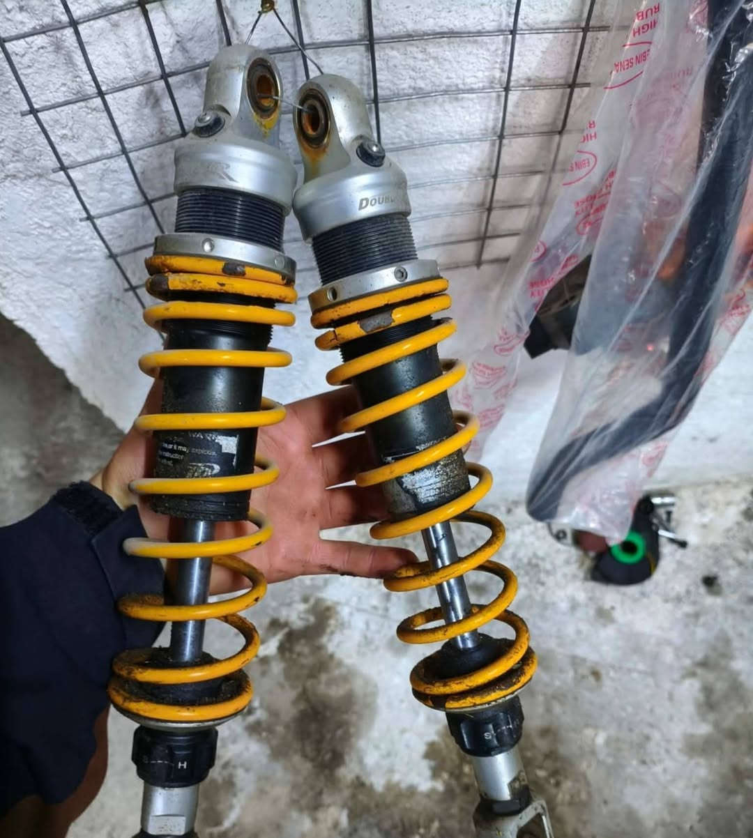 السلام عليكم غراض للبيع كلهن مكفولات سكنز ثعلب
شتحتاج راسلني خاص او ***********
توصيل كل العراق
مكاني بغداد الشعلة
تحياتي للجميع
موجود غراض بلادي الي يحب
