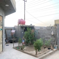 النعيميه • ٢٠٠م • طابو زراعي