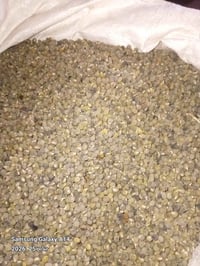 بذور بامية • عبير • مضمونة الإنبات