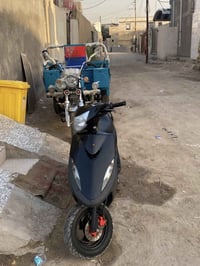 ماكس • عدله بلاديه • صبغ حراري