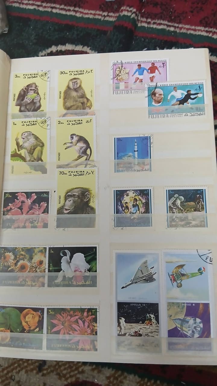 السلام عليكم يتوفر البوم طوابع الماني حجم A4 قياس ٣٢ صفحة ابيض يحتوي ١٢٥٠ طابع عربي   اجنبي وعراقي قديم بسعر ٦٠ الف دينار عراقي يتوفر توصيل


**إذا كنت صاحب هذا الإعلان وتريد حذفه لأي سبب، رجاءا أرسل رسالة إلى الدعم الفني**