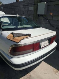 دايو برنس • ٩٥ • بابل