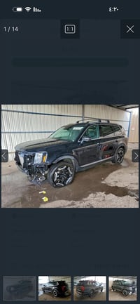 تيلورايد • ٢٠٢٥ • خارج العراق