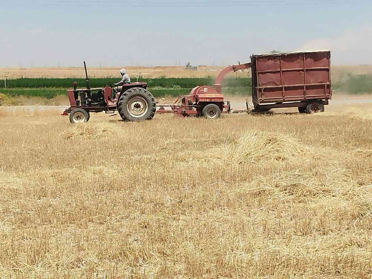 السلام عليكم يوجد تبن بشريعه مكوم بمكانو واصل زراريه والنميصه وشميط  و الصباغيه و الزاب

***********
