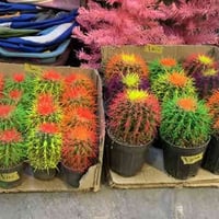 سليمانية سرجنار • مقابل جامع مشخلان • بضاعة جديدة