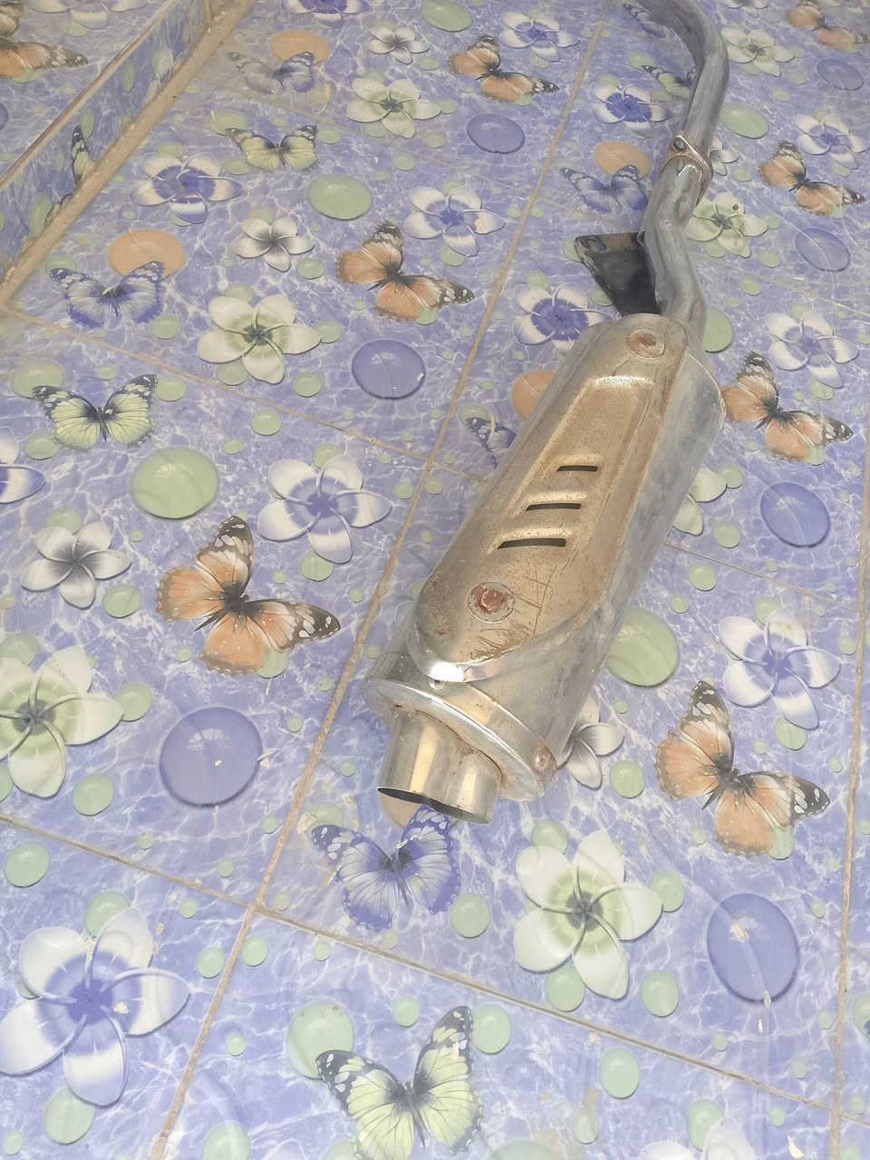 سلام عليكم صلنصه جعره للبيع تواصل: ***********
