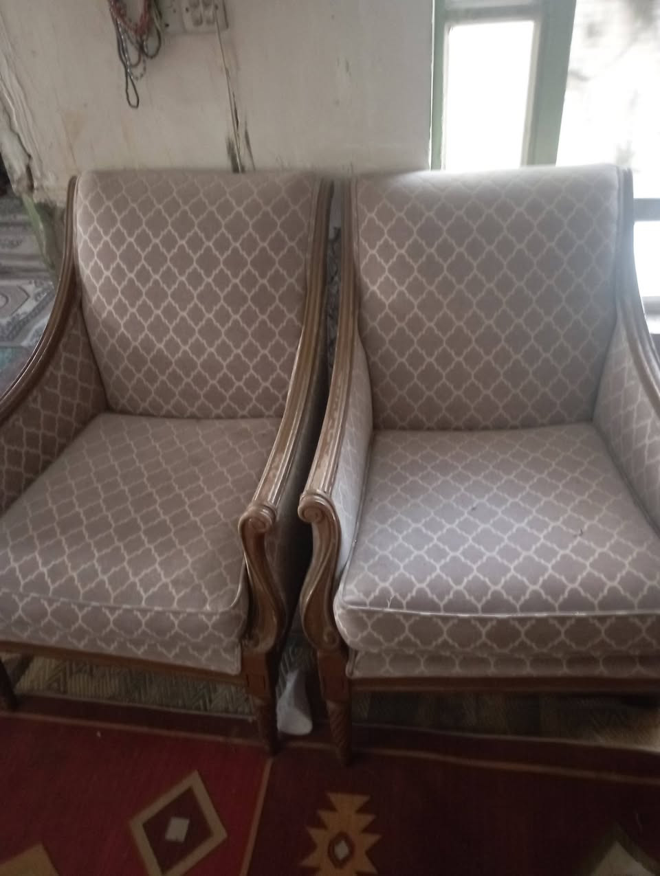 سلام عليكم تخم ملكي للبيع 10 نفر سعره 550 وبي مجال قليل عنوان كوفه شارع المعمل ***********
