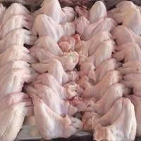 دجاج طازج • ٢-٤ كيلو • مقطع