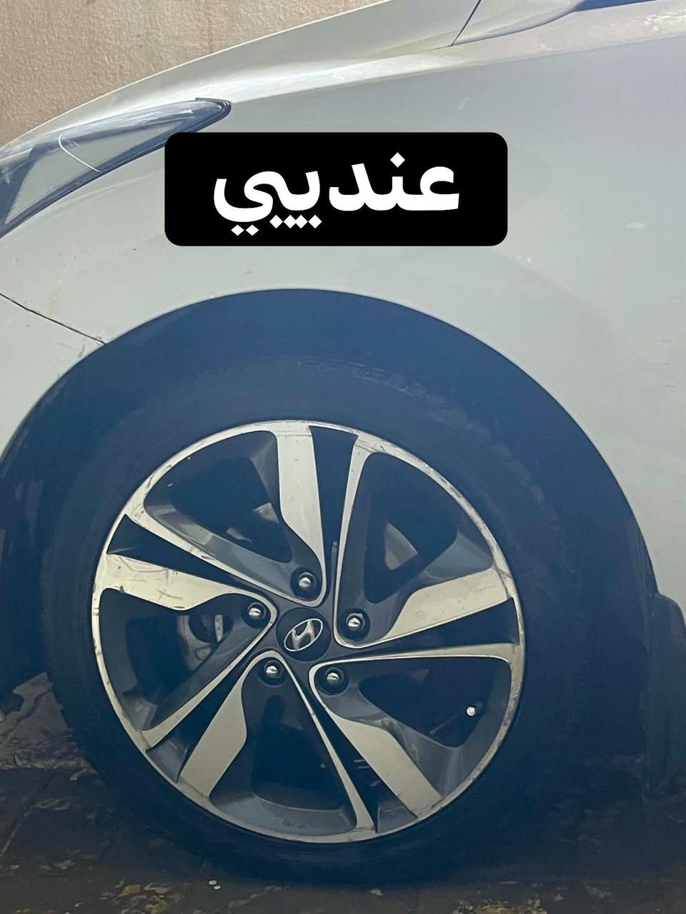 سلام عليكم عندي ويل كب اريد مراوس بعادي شعندك ويل عادي وتاير نزل


**إذا كنت صاحب هذا الإعلان وتريد حذفه لأي سبب، رجاءا أرسل رسالة إلى الدعم الفني**