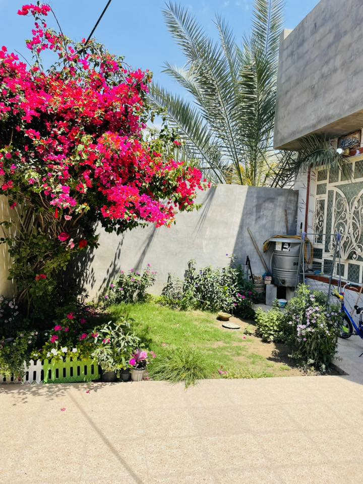 للبيع المساحه ٢٠٠ حولي لبعنون قرب مدرسة القلم يحتو على غرفتين وصاله واستقبال ومطبخ ومناور ٢ وصحيات خارجيه وداخليه وغرفه طابق ثاني***********
