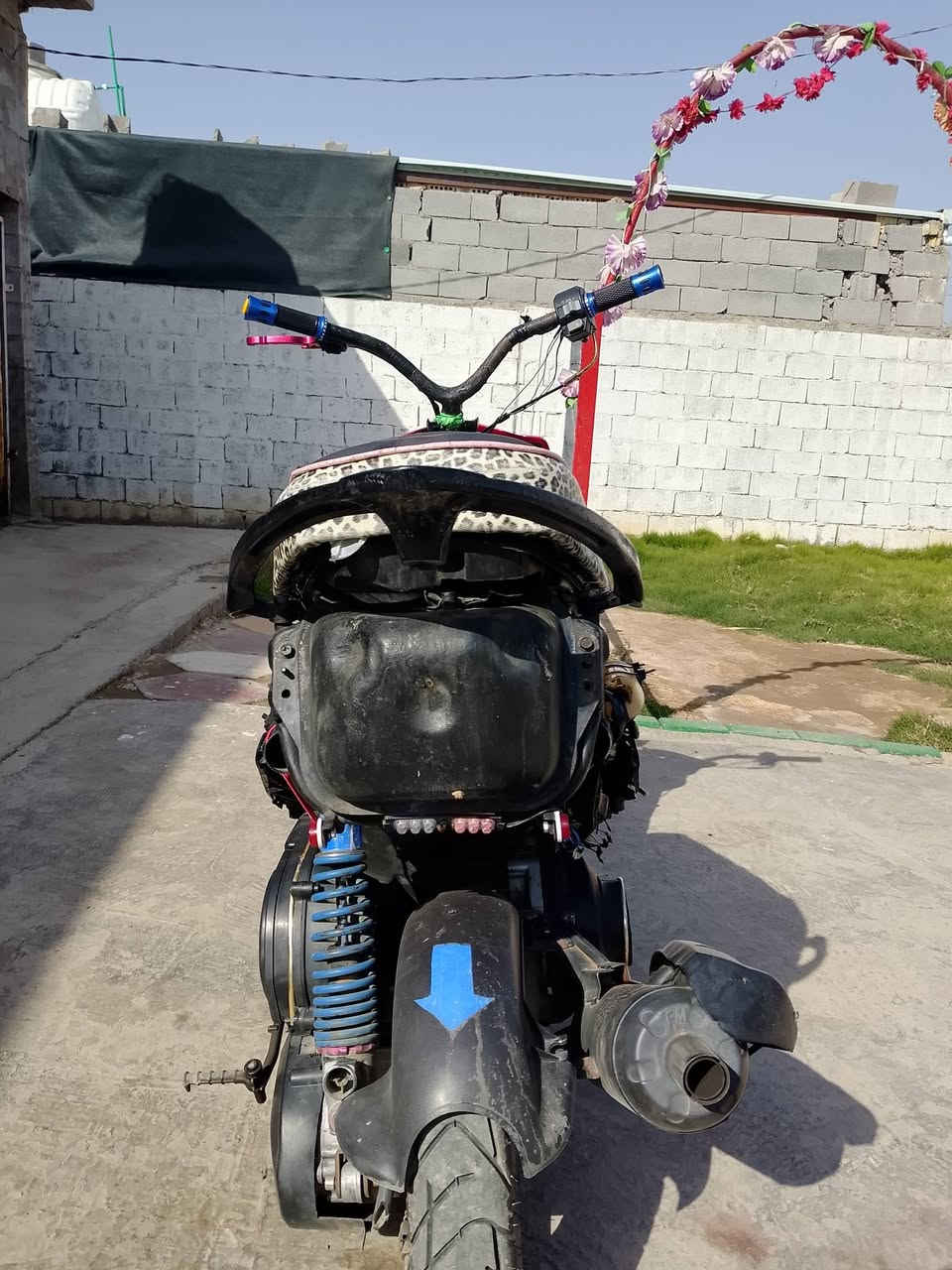 صويره ***********
