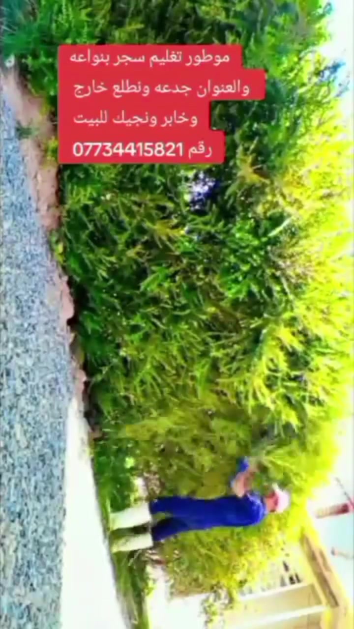 خابر ونجك للبيت *********** ابو طه

