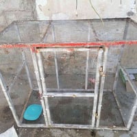 قفص • ١٢٠×١٠٠×٦٠سم • حي العروبة