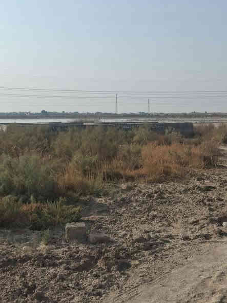 متوفر قطعه طابو زراعي مساحة 500 العنوان الهاثه شارع المسحل مقابيل سيد سامي السعر15 مليون مع بتلو 
*********** اخوكم قصي السيلاوي استقبل كافه عروضكم
