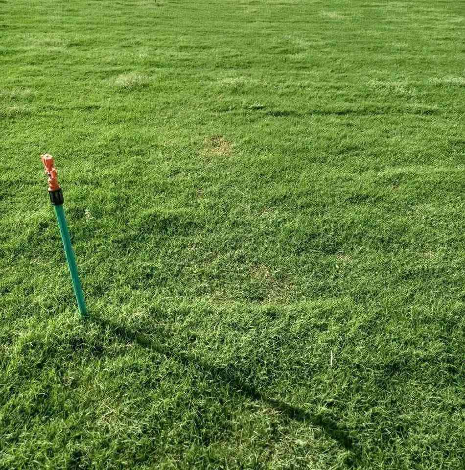 ثيل هندي سعر المتر المربع 2500
محافظة الناصريه


**إذا كنت صاحب هذا الإعلان وتريد حذفه لأي سبب، رجاءا أرسل رسالة إلى الدعم الفني**