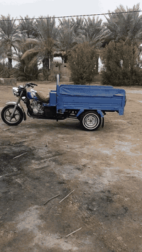 ستوته للبيع مكفوله كفاله عامه سعر خاص ٠٧٧٤٧٥٠٥٠١١