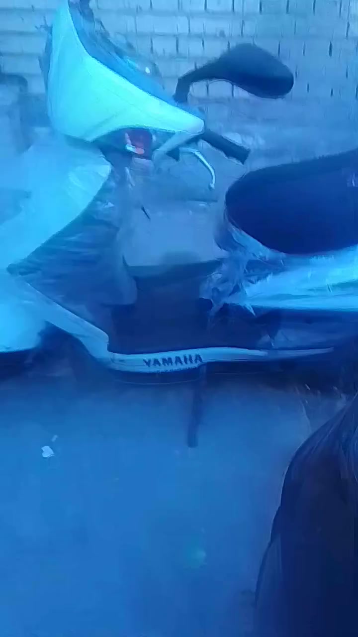 السلام عليكم سكنس فحل كابريتر كوري للبيع مال رمبه مكاني بغداد الصليخ ***********
