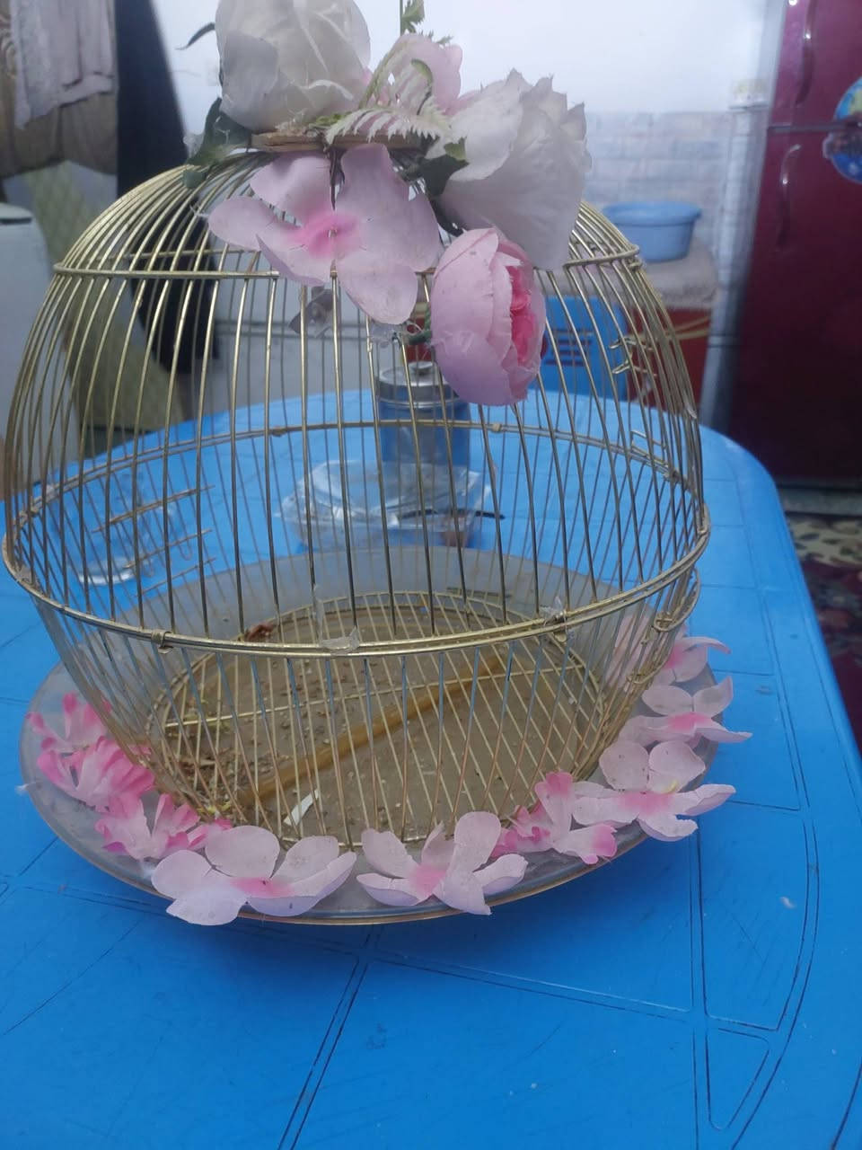 السلام عليكم 
قفص للبيع السعر ٧ الف 
*********** شهداء البياع
