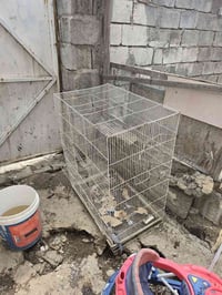 قفص • من الاخير • باب يحتاج تعديل