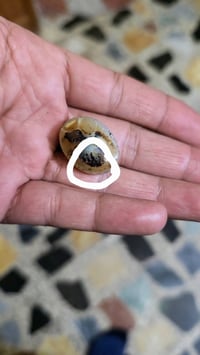 حجر قديم • منقوش • بغداد