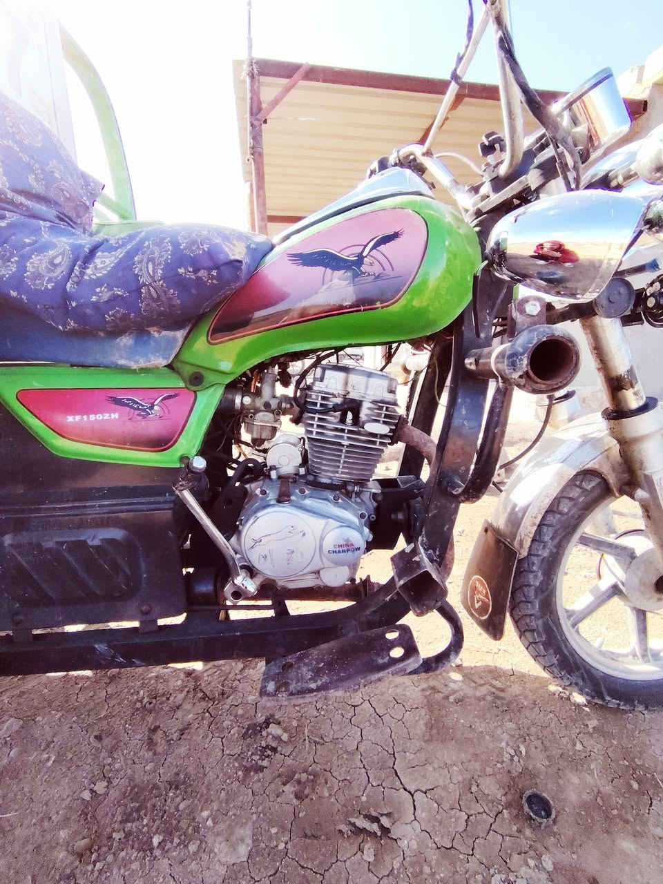 21 أوراق اصولي مكمركه وصل معرض موجود مكفوله مليون ٥٥٠ محاويل ناحيه الإمام طريق جبله ***********
