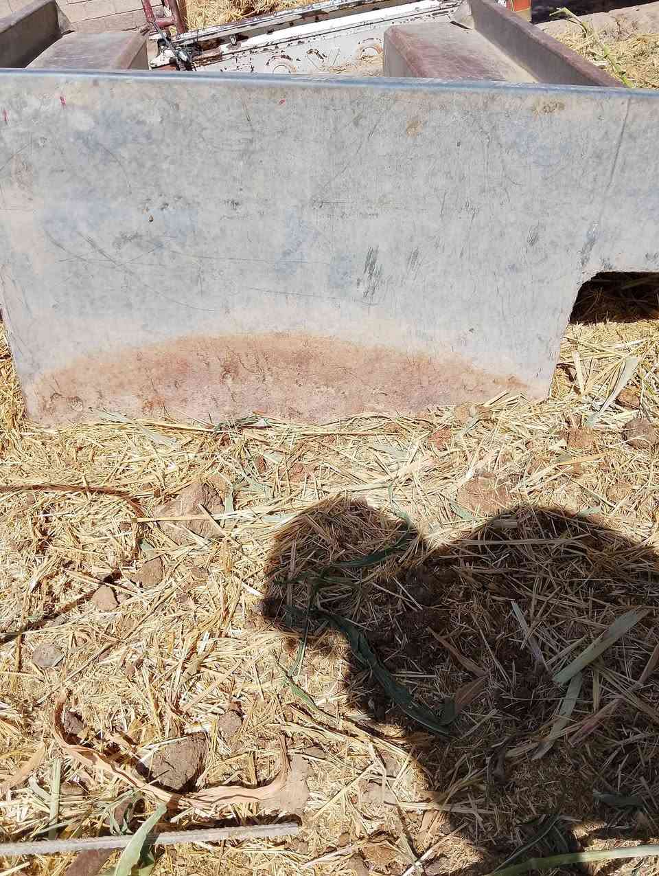 سلام عليكم  قلف بدي بيكم البيع نضيف ولا خايز حديد الولي مال بيكم 85ويرهم الباقي المديلات هاذه  رقمي  ♕***********
