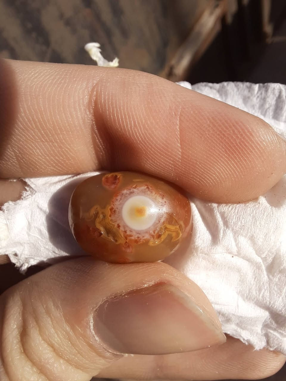 السلام عليكم سليماني هندي عين شمسيه مصور داخل العين قلب قديم ابيع لليهتم السعر خاص (تريد تصوير اوضح تعال خاص )
يوجد توصيل


**إذا كنت صاحب هذا الإعلان وتريد حذفه لأي سبب، رجاءا أرسل رسالة إلى الدعم الفني**