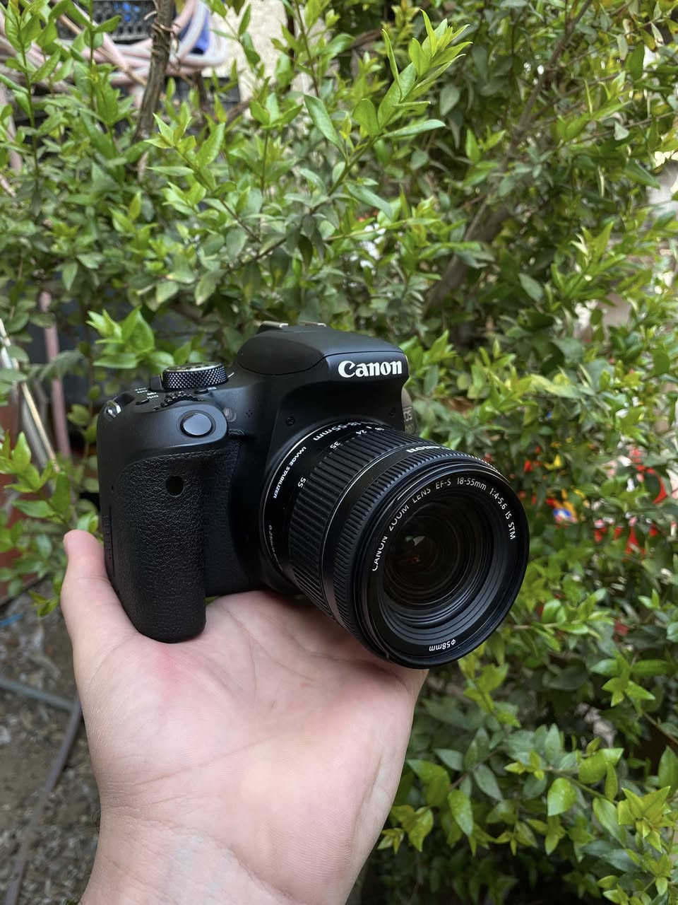 للبيع كامرا كانون 800D الحديثة شاشة لمس قلاب واي فاي +بلوتوث نضافه 100% كارتونه
دقه وسلاسه وسرعه✨
ملحقات 
عدسة 18-55 استبلايزر مانع اهتزاز الحديثه
شاحنة 
بطاريه 
حزام 
كارتونه
السعر 600 الف وبي مجال 
مكان بغداد البنوك 
لايوجد توصيل


**إذا كنت صاحب هذا الإعلان وتريد حذفه لأي سبب، رجاءا أرسل رسالة إلى الدعم الفني**