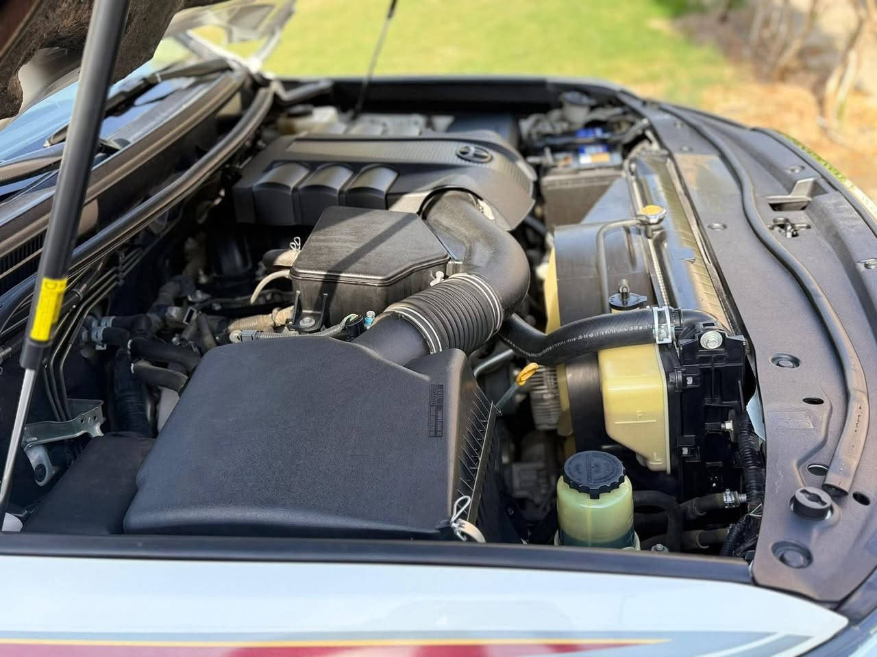 سلام عليكم
للبيع فقط 2014 بريم اصل
رقم بغداد ماشية 149 الف
جديدة جدا
مكفولة من الصبغ بيها بارد قليل جدا واضح بالسونار
كربلاء حي الحسين
السعر 415 وبيها مجال بسيط
***********
