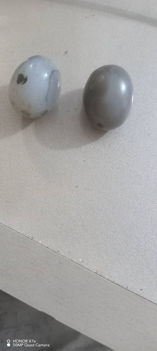 ‎خرزات سليماني كلش حلوات امانه الي يحب يقتنيهن يتواصل وياي ***********‎ بغداد, العراق
