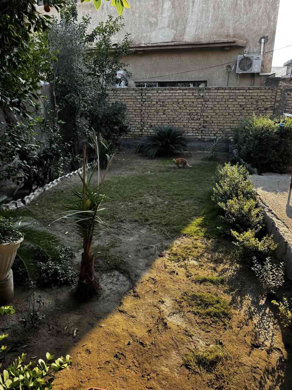 دارللبيع طابو زراعي سند (25)
المساحة 400 متر 
الموقع / حي الميثاق قرب البوابه مدخل ابي غرق يبعد عن شارع حله كربلاء 300 متر 
يحتوي على غرفتين نوم واستقبال و مطبخ صحيات داخليه وخارجيه كراج كبير وحديقه اماميه وجانبيه 
بناء طابوق صب كونكريت 
للاستفسار عن السعر 

***********
#الواثق_للعقار 
مستعدون للأعلان عن كافة عروضكم العقارية مجاناً
