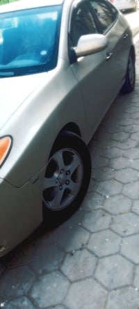 النترا • ٢٠٠٨ • اربيل