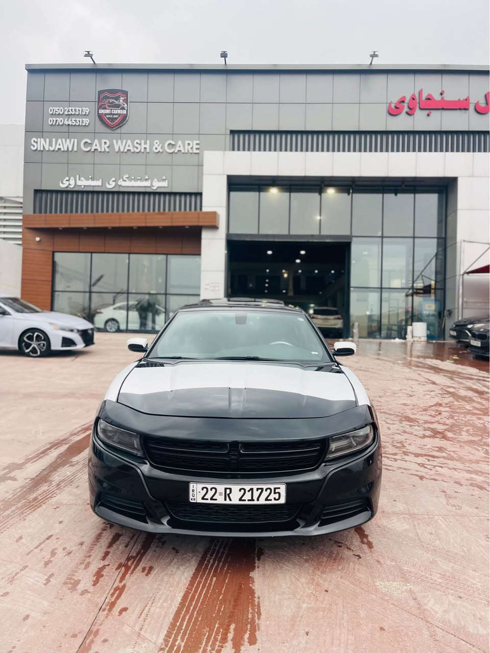 جارجر 2022 Sxt plus

وارد امريكي حادثه جاملغ صبغ صندوق مبدل بیلادی شریکە شویە بی دواخل من خلفی بجم کبس صورە حادث موجود
 
ارباک کل سلیم

سياره جديده ما بيه اي نقص

ترايه زيرو كله عله وضع الشركه

كير ومحرك مكفولات

ماشيه 11 الف 

🔰المواصفات

بصمة تشغيل

بصمة ابواب

بصمة جنطه

ويل حجم ٢٠ بلادي مال GT

كشنات جلد 

كشنات تدفئة وتبريد

كشنات خلفيه تدفه

ستیرن هیتر 

كشن خزن ميموري 

مكاني اربیل

السعر 255

رقمي *********** أربيل, العراق
